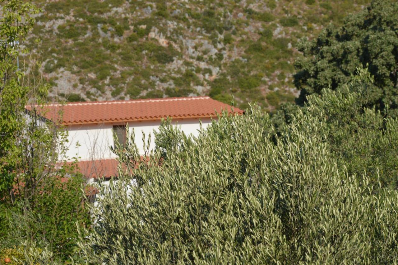 Tolis Rooms Himarë Dış mekan fotoğraf